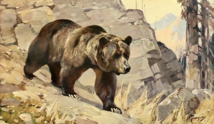 Picture of GRIZZLY BEAR