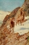 Picture of BIGHORN SHEEP