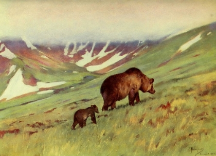 Picture of BEARS WALKING IN BASIN