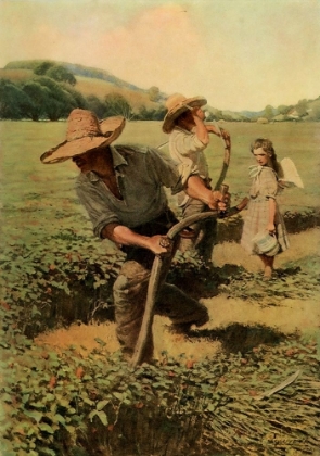 Picture of HARVESTING