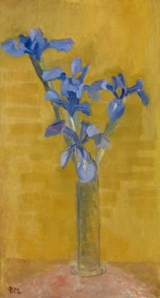 Picture of IRISES 1910