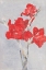Picture of RED GLADIOLI