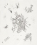 Picture of KLEINE WELTEN X-SMALL WORLDS X 1922