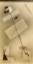 Picture of TAUT LINE 1931