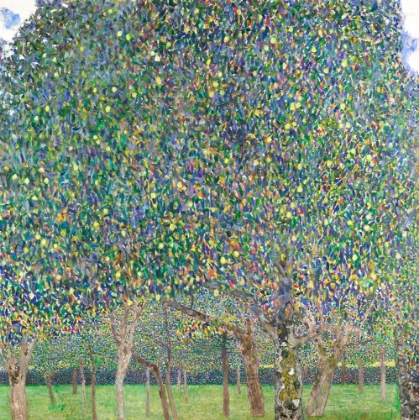 Picture of PEAR TREE