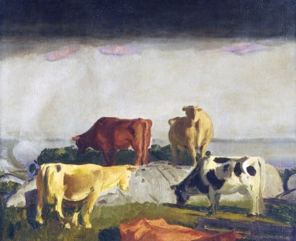 Picture of FIVE COWS