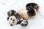 Picture of GIANT PANDA III