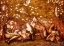 Picture of STUDY FOR THE SLEEPING KNIGHTS