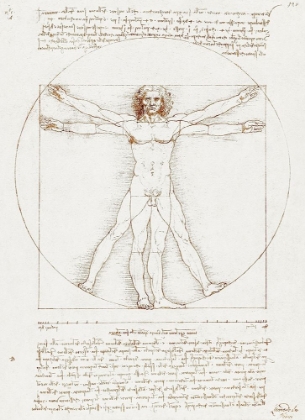 Picture of VITRUVIAN MAN