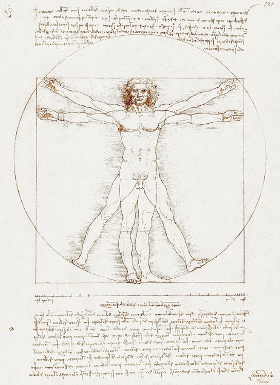 Picture of VITRUVIAN MAN