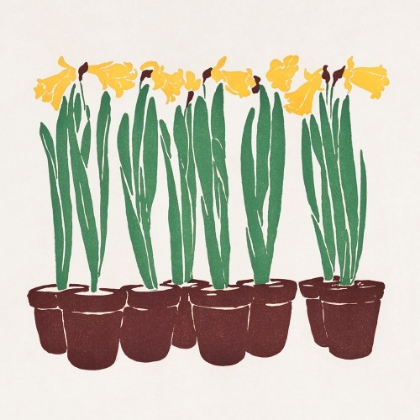 Picture of VINTAGE FLOWER ILLUSTRATION