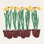Picture of VINTAGE FLOWER ILLUSTRATION