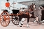 Picture of WOMAN IN A HORSE CARRIAGE