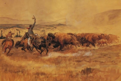 Picture of PABLO ALLARD BUFFALO DRIVE