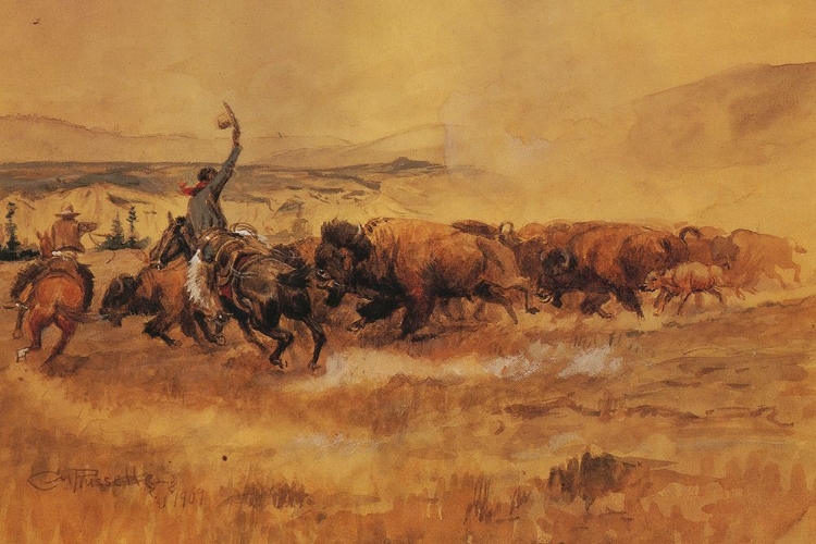 Picture of PABLO ALLARD BUFFALO DRIVE