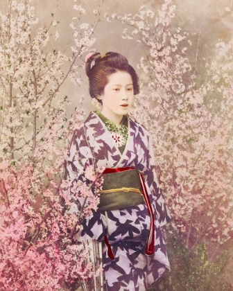 Picture of GEISHA AND CHERRY BLOSSOM