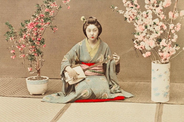 Picture of GEISHA PLAYING SAMISEN