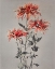 Picture of KIN SHI SHI