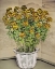 Picture of CHRYSANTHEMUM