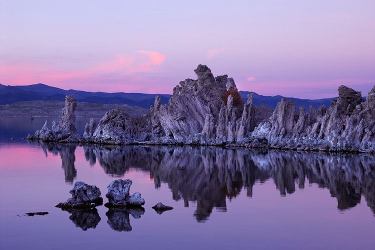 Picture of MONO LAKE