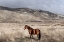 Picture of INTERSTATE 5 NEAR CALIFORNIAS FORT TEJON STATE PARK