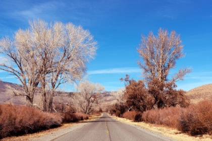 Picture of ROAD IN CALIFORNIA