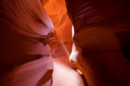 Picture of SLOT CANYONS GENTLY CARVED FROM THE NAVAJO SANDSTONE-ARIZONA