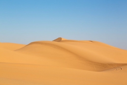 Picture of SAND DUNES IN SOUTHERN CALIFORNIA 