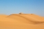 Picture of SAND DUNES IN SOUTHERN CALIFORNIA 