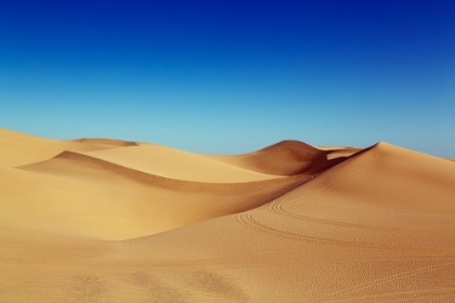 Picture of THE IMPERIAL SAND DUNES OF SOUTHERN CALIFORNIA