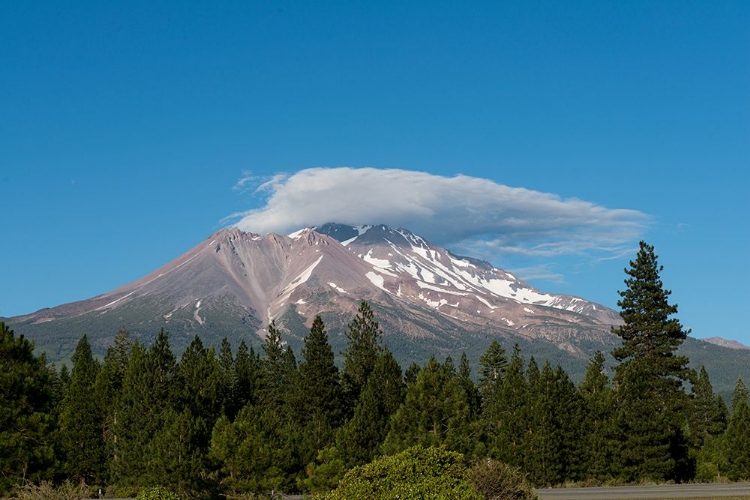 Picture of MOUNT SHASTA-CALIFORNIA