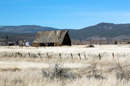 Picture of AN OLD HAY BARN-SUSANVILLE-LASSEN COUNTY-CALIFORNIA