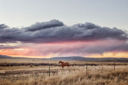 Picture of SUNSET AT BIG CREEK CATTLE RANCH NEAR RIVERSIDE IN CARBON COUNTY-WYOMING