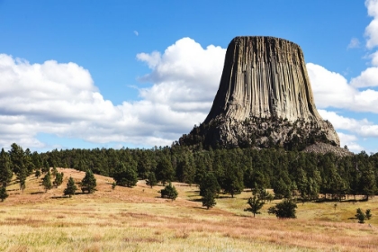 Picture of AMERICAS FIRST DECLARED NATIONAL MONUMENT-DEVILS TOWER-WYOMING