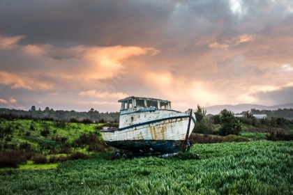 Picture of VINTAGE BOAT-PORT SONOMA MARINA IN PETALUMA-CALIFORNIA