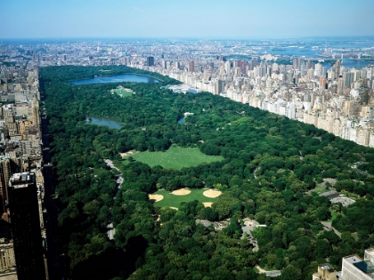 Picture of AERIAL VIEW OF CENTRAL PARK-NEW YORK