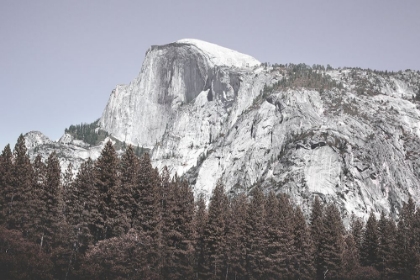 Picture of YOSEMITE NATIONAL PARK-CALIFORNIA-USA