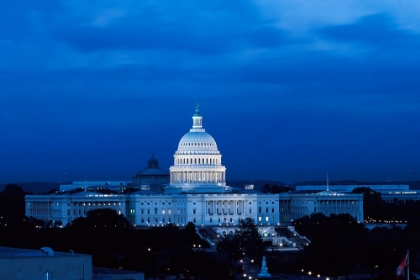 Picture of CAPITOL HILL-WASHINGTON D.C. AT NIGHT