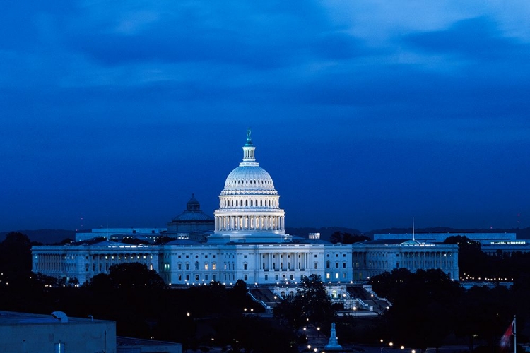 Picture of CAPITOL HILL-WASHINGTON D.C. AT NIGHT