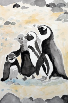 Picture of AFRICAN PENGUIN FAMILY