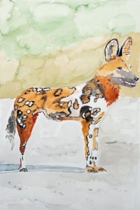 Picture of AFRICAN WILD DOG