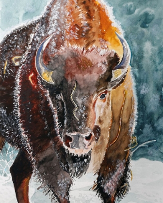 Picture of BISON BULL