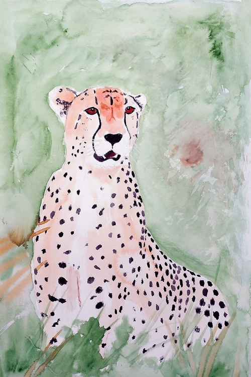 Picture of CHEETAH