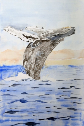Picture of HUMPBACK WHALE