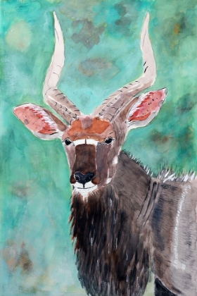 Picture of NYALA BULL
