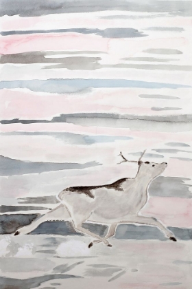 Picture of PEARY CARIBOU