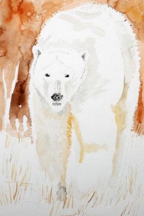 Picture of POLAR BEAR