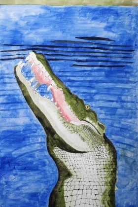 Picture of SALTWATER CROCODILE