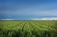 Picture of RURAL OTERO COUNTY-COLORADO