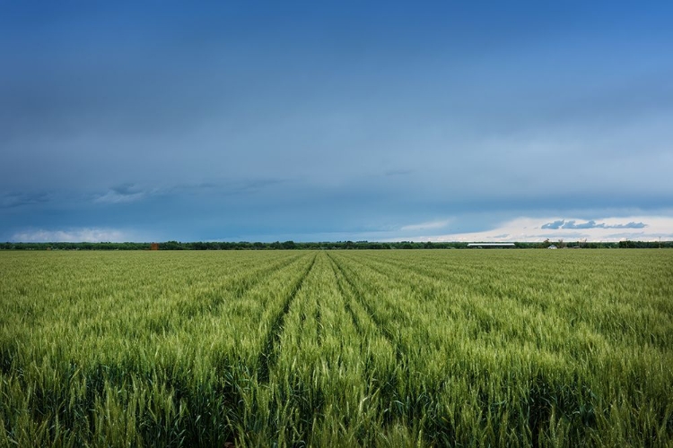 Picture of RURAL OTERO COUNTY-COLORADO
